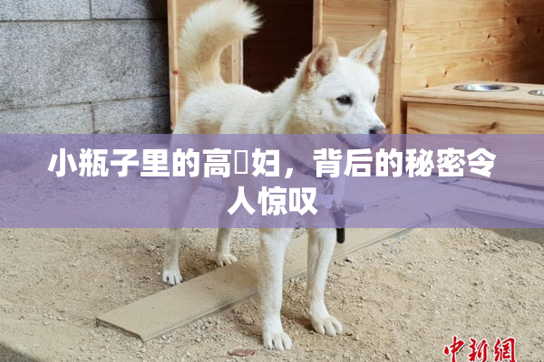 小瓶子里的高婬妇，背后的秘密令人惊叹