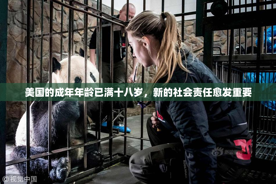 美国的成年年龄已满十八岁，新的社会责任愈发重要