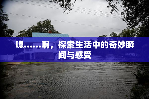 嗯……啊，探索生活中的奇妙瞬间与感受