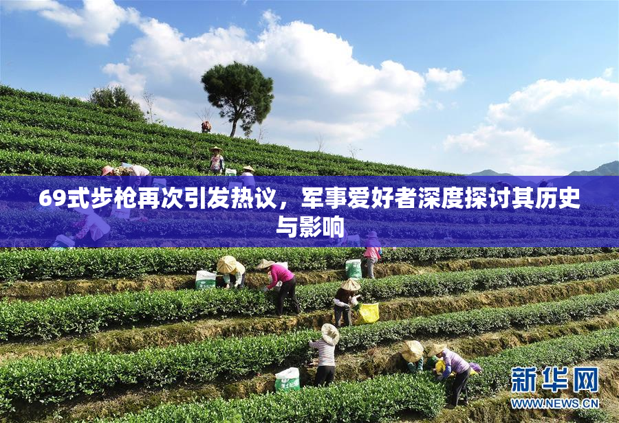 69式步枪再次引发热议，军事爱好者深度探讨其历史与影响