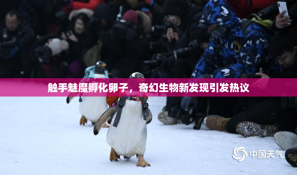 触手魅魔孵化卵子，奇幻生物新发现引发热议