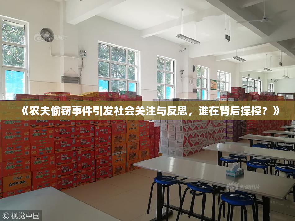 《农夫偷窃事件引发社会关注与反思，谁在背后操控？》