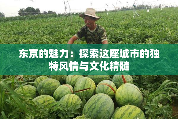 东京的魅力：探索这座城市的独特风情与文化精髓