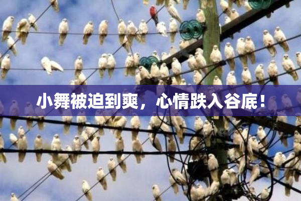小舞被迫到爽，心情跌入谷底！