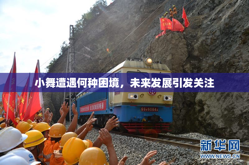 小舞遭遇何种困境，未来发展引发关注