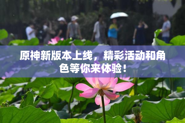 原神新版本上线，精彩活动和角色等你来体验！
