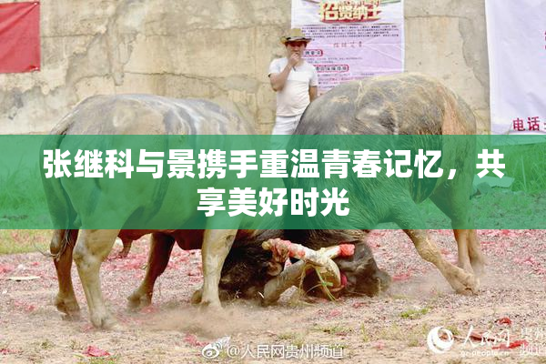 张继科与景携手重温青春记忆，共享美好时光