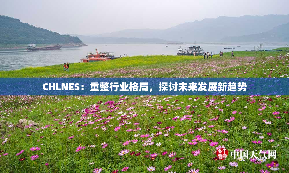 CHLNES：重整行业格局，探讨未来发展新趋势