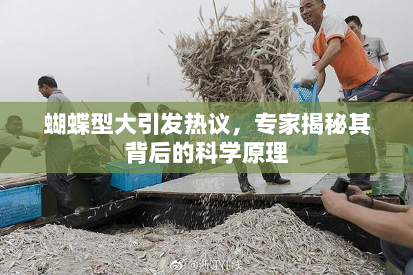 蝴蝶型大引发热议，专家揭秘其背后的科学原理