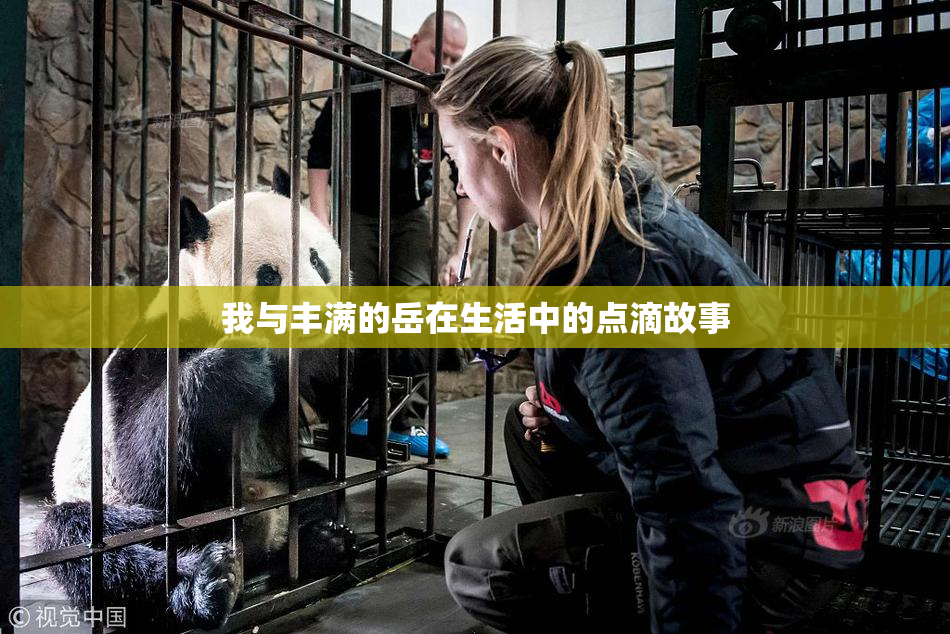 我与丰满的岳在生活中的点滴故事