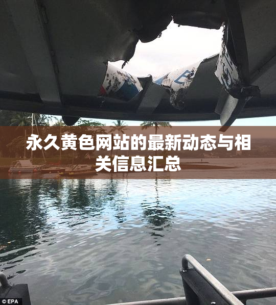 永久黄色网站的最新动态与相关信息汇总