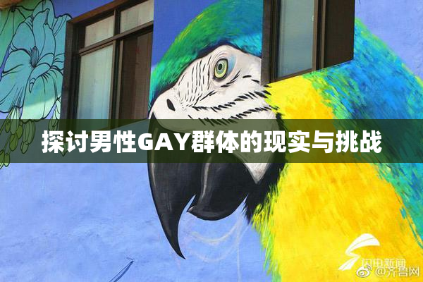探讨男性GAY群体的现实与挑战