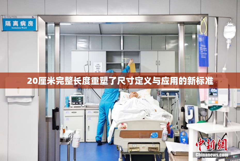 20厘米完整长度重塑了尺寸定义与应用的新标准