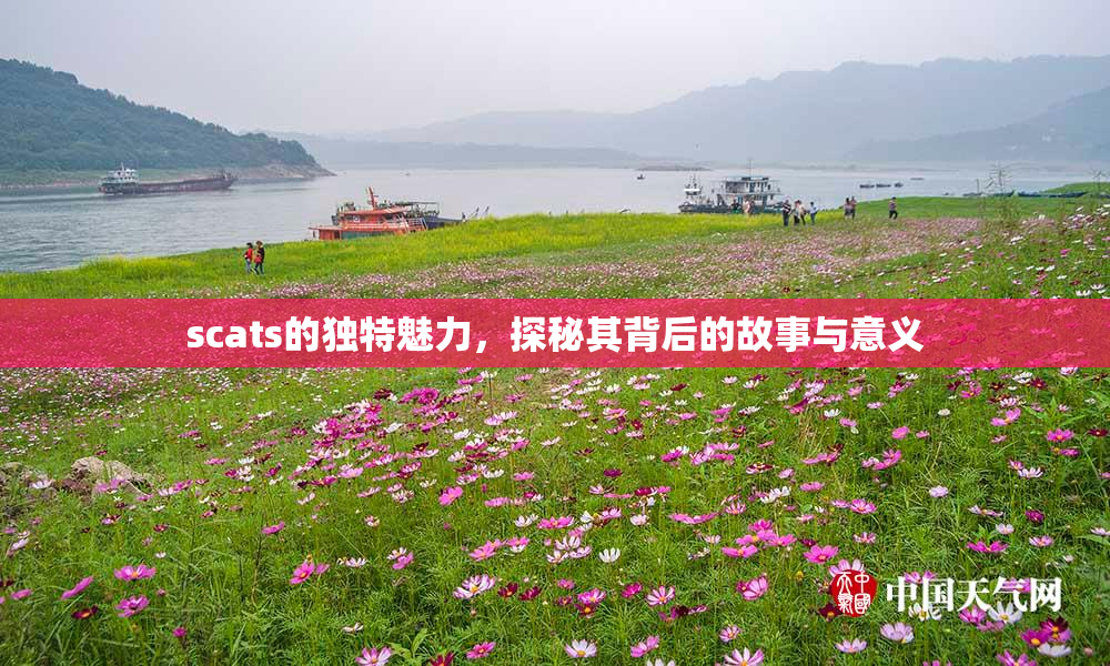scats的独特魅力，探秘其背后的故事与意义