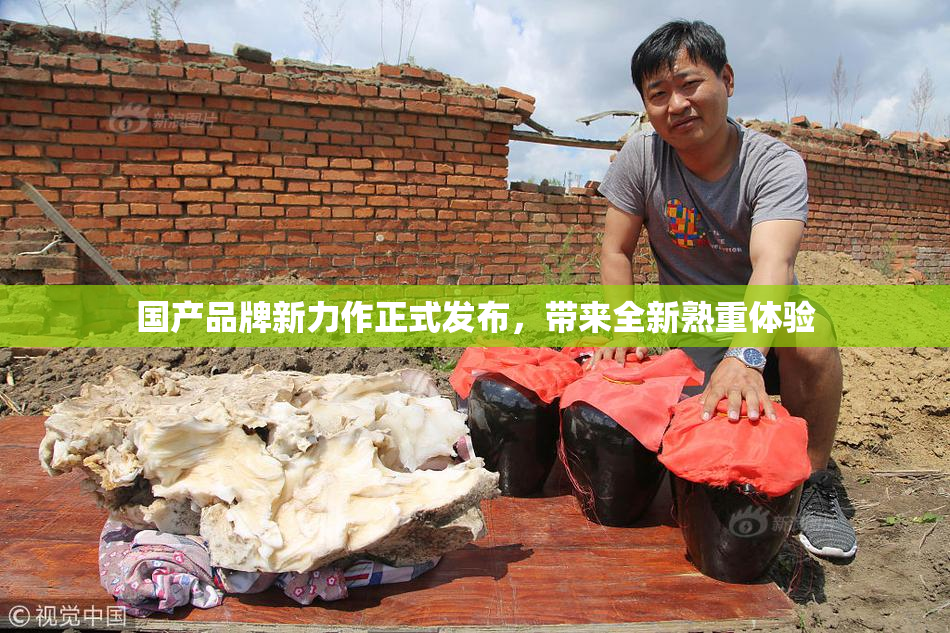 国产品牌新力作正式发布，带来全新熟重体验