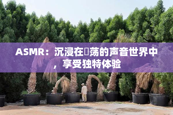 ASMR：沉浸在婬荡的声音世界中，享受独特体验