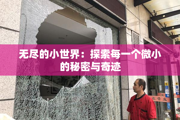 无尽的小世界：探索每一个微小的秘密与奇迹