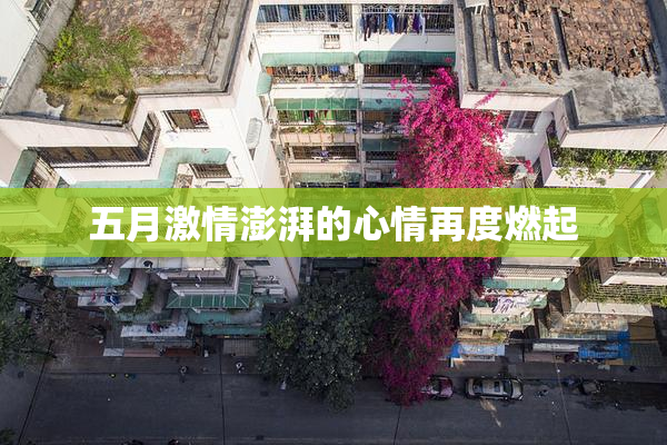 五月激情澎湃的心情再度燃起