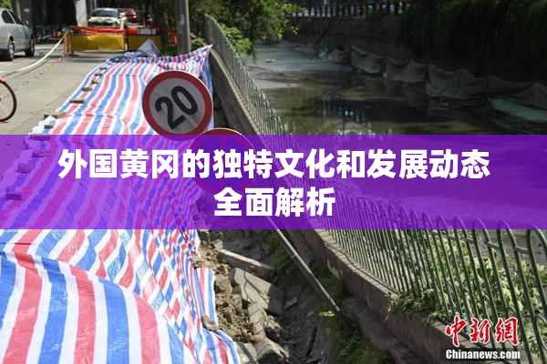 外国黄冈的独特文化和发展动态全面解析