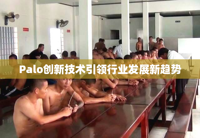 Palo创新技术引领行业发展新趋势
