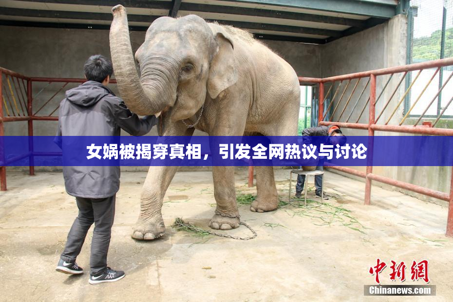 女娲被揭穿真相，引发全网热议与讨论