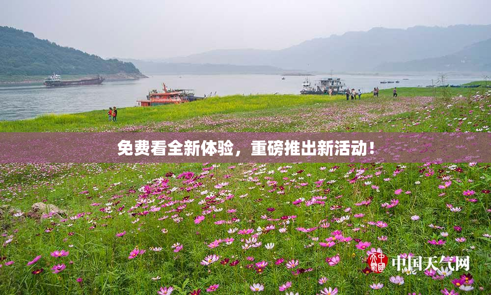 免费看全新体验，重磅推出新活动！