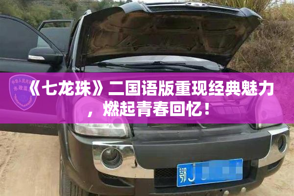 《七龙珠》二国语版重现经典魅力，燃起青春回忆！