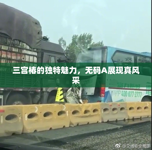 三宫椿的独特魅力，无码A展现真风采