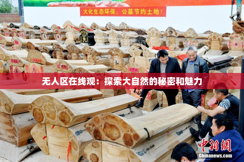 无人区在线观：探索大自然的秘密和魅力
