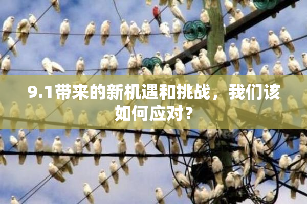 9.1带来的新机遇和挑战，我们该如何应对？