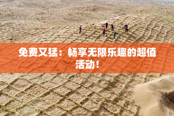 免费又猛：畅享无限乐趣的超值活动！