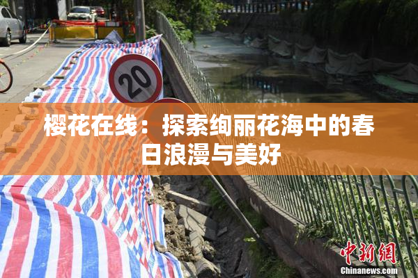 樱花在线：探索绚丽花海中的春日浪漫与美好