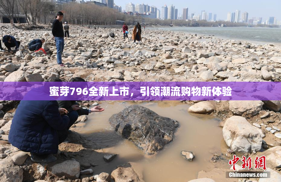 蜜芽796全新上市，引领潮流购物新体验