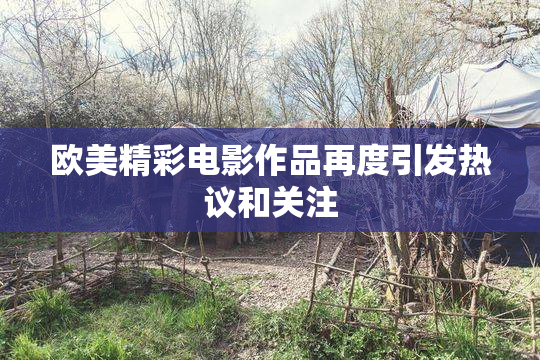欧美精彩电影作品再度引发热议和关注