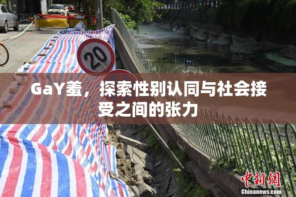 GaY羞，探索性别认同与社会接受之间的张力