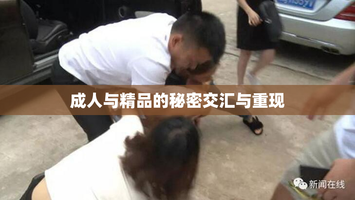 成人与精品的秘密交汇与重现