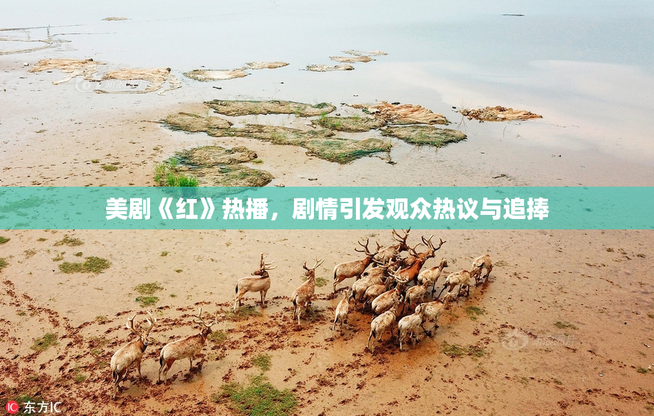 美剧《红》热播，剧情引发观众热议与追捧