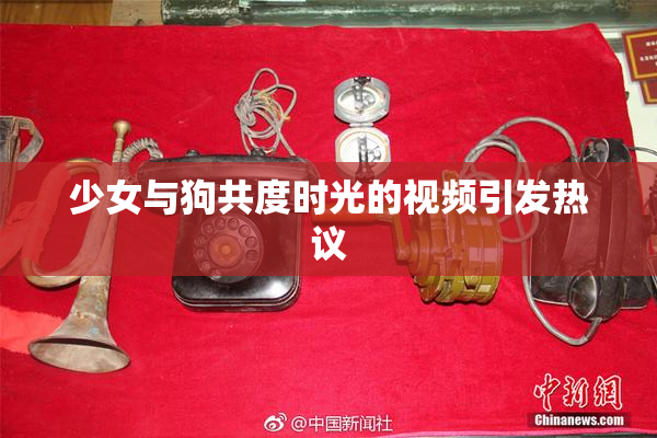 少女与狗共度时光的视频引发热议