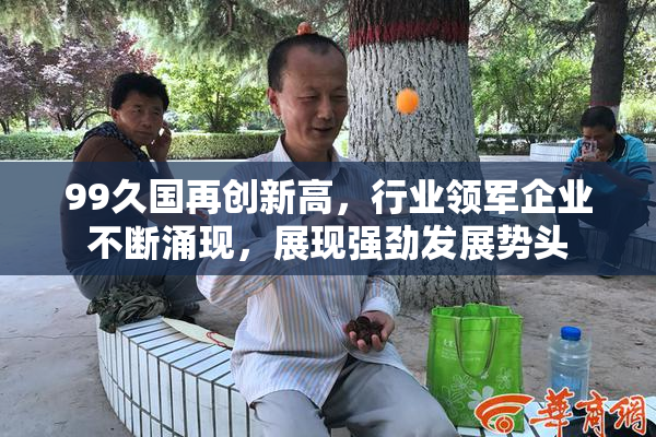 99久国再创新高，行业领军企业不断涌现，展现强劲发展势头