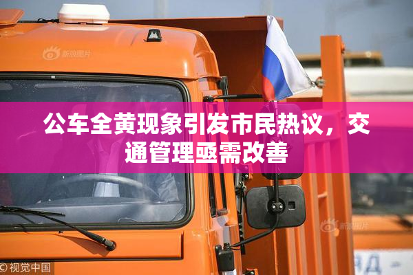 公车全黄现象引发市民热议，交通管理亟需改善