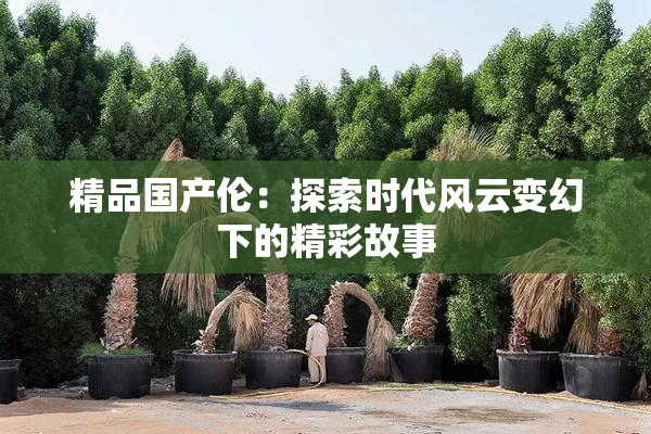 精品国产伦：探索时代风云变幻下的精彩故事