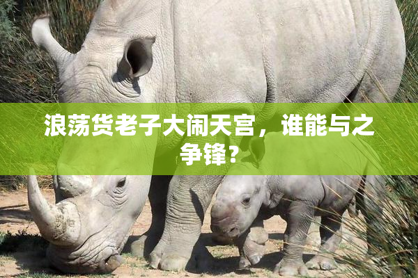 浪荡货老子大闹天宫，谁能与之争锋？