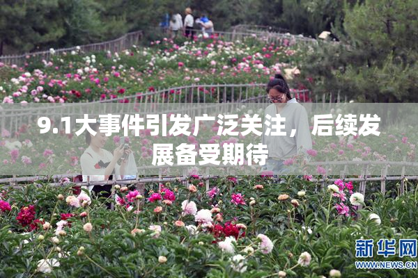 9.1大事件引发广泛关注，后续发展备受期待