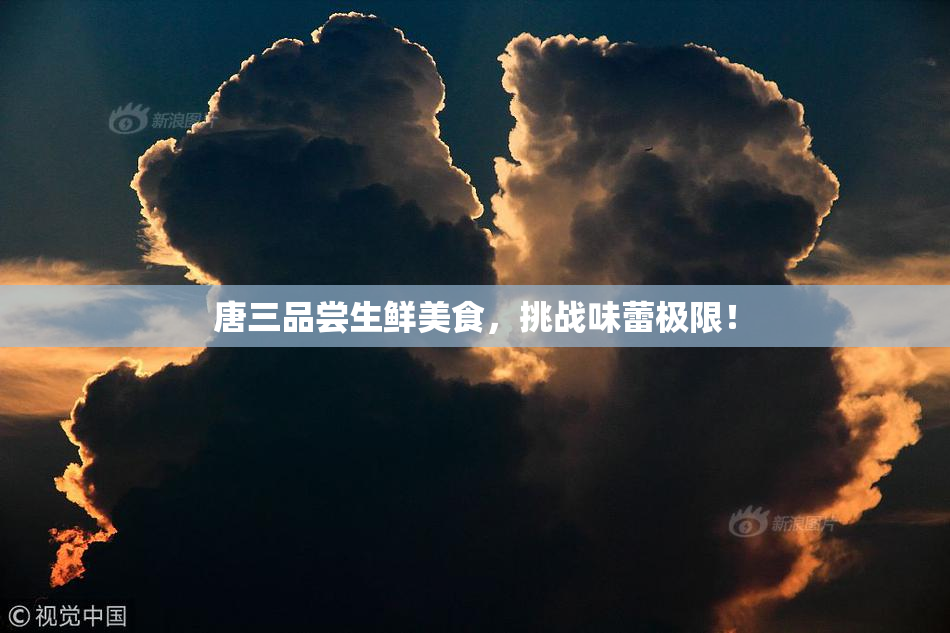 唐三品尝生鲜美食，挑战味蕾极限！