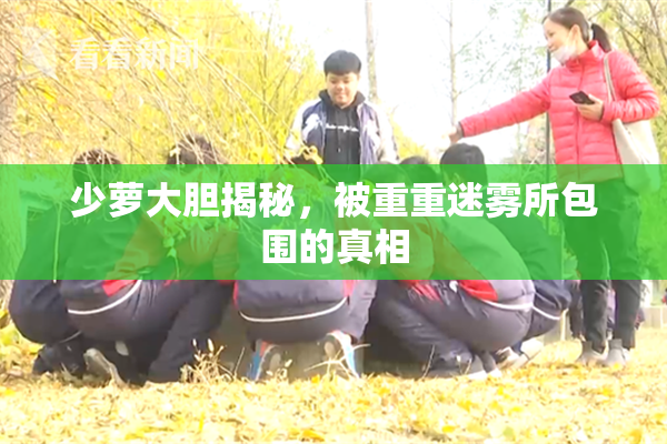 少萝大胆揭秘，被重重迷雾所包围的真相