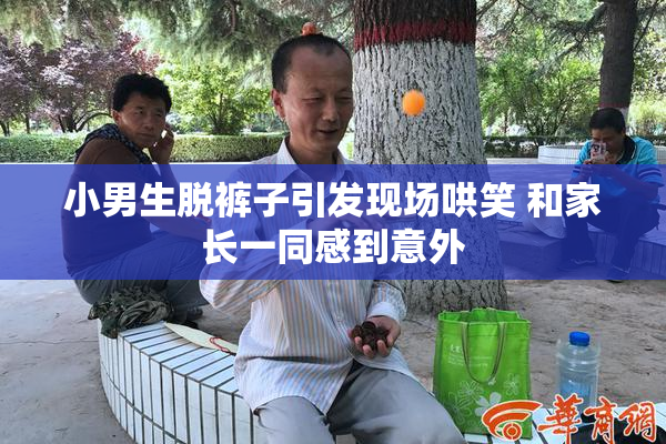 小男生脱裤子引发现场哄笑 和家长一同感到意外