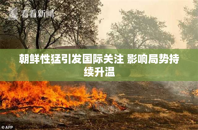 朝鲜性猛引发国际关注 影响局势持续升温