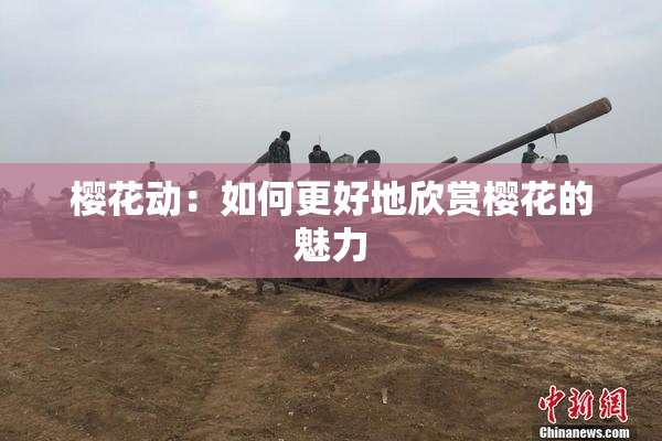 樱花动：如何更好地欣赏樱花的魅力
