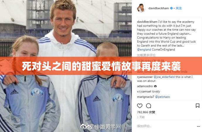 死对头之间的甜蜜爱情故事再度来袭