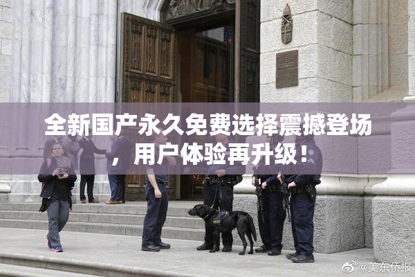 全新国产永久免费选择震撼登场，用户体验再升级！